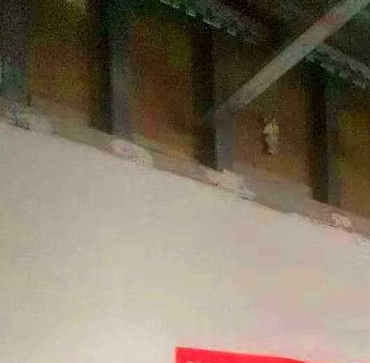 柏威大酒店-開工大吉 (11).jpg